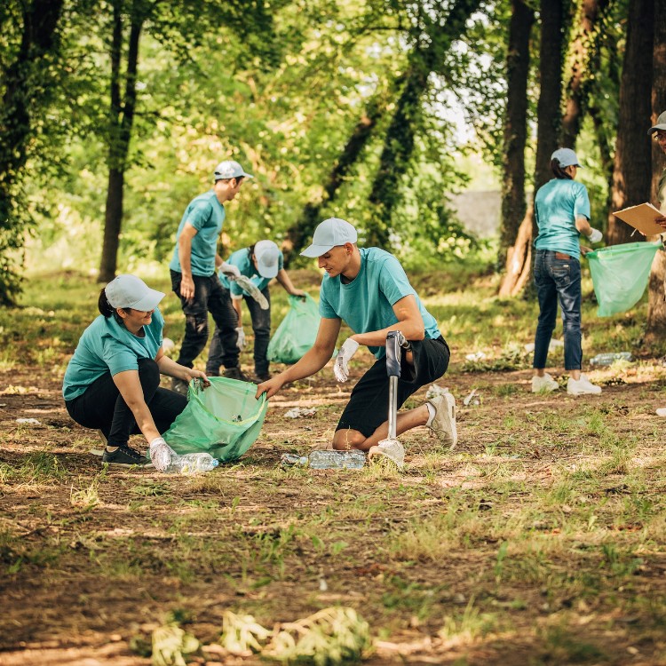 Just another WordPress site