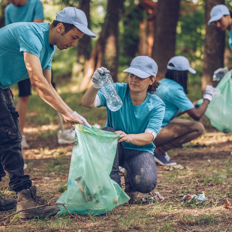 Just another WordPress site